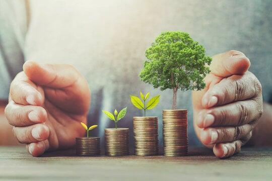 best fssai services at low cost